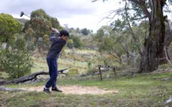 Up the Creek